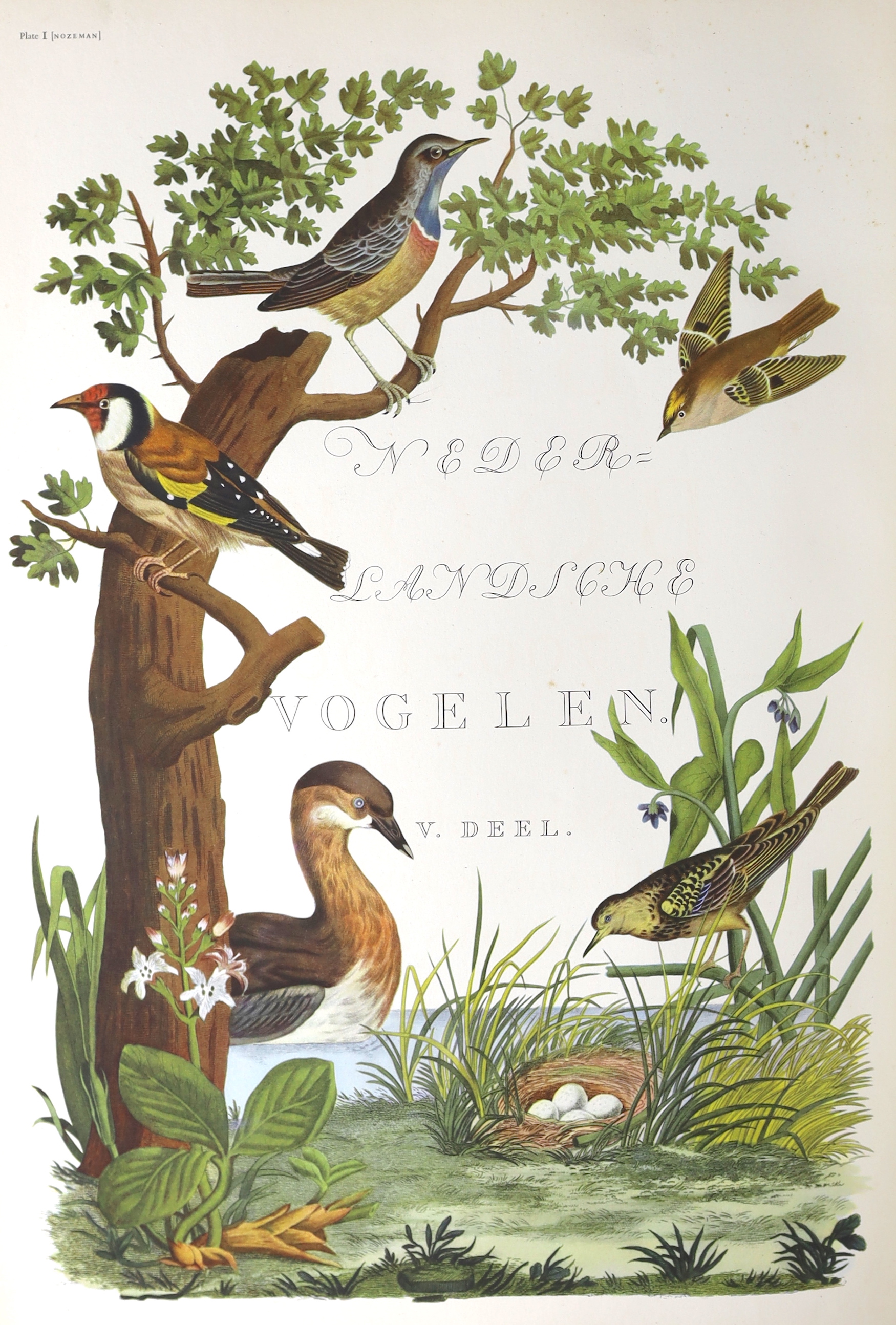 Sitwell, Sacheverell and others - Fine Bird Books, 1700-1900, one of 2000, folio, half cloth, with 16 colour plates (one folding), and 24 monochrome plates, Collins & Van Nostrand, London 1953